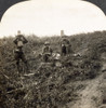 World War I: Signal Corps. /Nu.S. Signal Lamp Station At The Front In France. Stereograph, C1918. Poster Print by Granger Collection - Item # VARGRC0099672