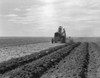 New Mexico: Farm, 1938. /Na Farmer With His Son At Work On A Tractor In A Field Near Cland, New Mexico. Photograph By Dorothea Lange, June 1938. Poster Print by Granger Collection - Item # VARGRC0107912