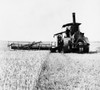 Steam Harvester, 1903. /Na Steam Harvester At Work In California Cutting A 25-Foot Swath Through A Wheatfield, 1903. Poster Print by Granger Collection - Item # VARGRC0032281