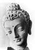 Pakistan: Buddha. /Nlimestone Head From Gandhara (Northwest Pakistan), 4Th -5Th Century A.D. Poster Print by Granger Collection - Item # VARGRC0012909
