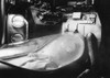Alien Photograph. /Nfaked Photograph Of An Alien, Mid-20Th Century. Poster Print by Granger Collection - Item # VARGRC0101127