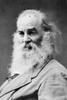 Walt Whitman (1819-1892). /Namerican Poet. Poster Print by Granger Collection - Item # VARGRC0012478