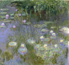 Monet: Water Lilies, C1915. /Noil On Canvas, Claude Monet, C1915. Poster Print by Granger Collection - Item # VARGRC0433702