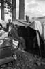 Sharecropper, 1939. /Nevicted Sharecroppers In Roadside Camp Along Highway 60, New Madrid County, Missouri. Photograph By Arthur Rothstein In January 1939. Poster Print by Granger Collection - Item # VARGRC0119374