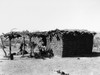 Arizona: Native Americans. /Na Tohono O'Odham (Formerly Papago) Man And Woman Outside Their Adobe House In Pima County, Arizona. Photographed By William Dinwiddie, 1894. Poster Print by Granger Collection - Item # VARGRC0186404