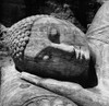 Sri Lanka: Giant Buddha. /Nhead Of The 12Th Century Giant Reclining Buddha Figure Carved Out Of Granite Rock At Gal Vihara, Sri Lanka. Photogaph, Late 20Th Century. Poster Print by Granger Collection - Item # VARGRC0115662