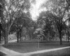 Harvard Yard, C1890. /Nharvard Yard, Part Of Harvard University In Cambridge, Massachusetts. Photograph, C1890. Poster Print by Granger Collection - Item # VARGRC0353244