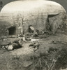 German Trench, 1917. /Ngerman Army Casualties In A Concrete Trench After The Battle Of Menin Road Ridge, 1917. Poster Print by Granger Collection - Item # VARGRC0325921