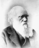 Charles Darwin (1809-1882). /Nenglish Naturalist. Photographed C1877. Poster Print by Granger Collection - Item # VARGRC0031278