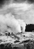 New Zealand: Geyser, C1910. /Npohutu Geyser, Whakarewarewa, Rotorua, Auckland Province, New Zealand, C1910. Poster Print by Granger Collection - Item # VARGRC0123857