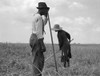 Cotton Pickers, 1937. /Nsharecroppers Chopping Cotton In Greene County, Georgia. Photograph By Dorothea Lange, June 1937. Poster Print by Granger Collection - Item # VARGRC0123087