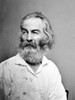 Walt Whitman (1819-1892). /Namerican Poet. Photographed C1860. Poster Print by Granger Collection - Item # VARGRC0109541