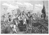 Grape Harvest, 1874. /Ngrape Harvest In Bas Languedoc, South Of France. Wood Engraving, English, 1874. Poster Print by Granger Collection - Item # VARGRC0017096