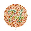 Ishihara Color Blindness Test Poster Print by Science Source - Item # VARSCIJA0019