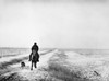 South Dakota: Cowboy. /Nriding The Ranch In Winter, Lyman County, South Dakota. Photograph By John Vachon, 1940. Poster Print by Granger Collection - Item # VARGRC0092648