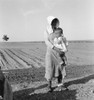 Flood Refugees, 1937. /Na Mother And Child Of Flood Refugee Family Near Memphis, Texas. Photograph By Dorothea Lange, May 1937. Poster Print by Granger Collection - Item # VARGRC0325404
