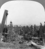 California: Oil Fields. /Noil Fields At Los Angeles, California. Stereograph, C1906. Poster Print by Granger Collection - Item # VARGRC0168549