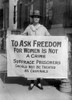 Suffragist, 1917. /Nan American Suffragist Protesting The Imprisonment Of Fellow Suffragists. Photograph, 1917. Poster Print by Granger Collection - Item # VARGRC0326110