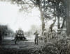 Wwi: Howitzer, C1915. /Naustrian Soldiers Covering Their Ears As A Skoda Howitzer Fires. Photograph, C1915. Poster Print by Granger Collection - Item # VARGRC0354460