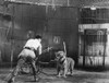 Clyde Beatty (1903-1965). /Namerican Animal Tamer. Photographed In The 1930S. Poster Print by Granger Collection - Item # VARGRC0091669