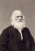 William Cullen Bryant /N(1794-1878). American Poet And Editor. Photograph, Late 19Th Century. Poster Print by Granger Collection - Item # VARGRC0003649