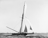 America'S Cup, 1899. /Nthe British Challenger, 'Shamrock I' Crossing The Finish Line At The Tenth America'S Cup In 1899, New York. Poster Print by Granger Collection - Item # VARGRC0113745