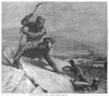 Seal Hunting, 1874. /Nhunters Killing Seals In The Arctic Regions. Wood Engraving, American, 1874. Poster Print by Granger Collection - Item # VARGRC0096264
