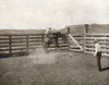 Texas: Cowboys, C1907. /Ntwo Cowboys Breaking A Horse In A Corral On The Ls Ranch In Texas. Photograph By Erwin Evans Smith, C1907. Poster Print by Granger Collection - Item # VARGRC0124931 Texas: Cowboys, C1907. /Ntwo Cowboys Breaking A Horse In A Corral On The Ls Ranch In Texas. Photograph By Erwin Evans Smith, C1907. Poster Print by Granger Collection - Item # VARGRC0124931