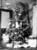 Wright Brother's Christmas Tree, 1900 Poster Print by Science Source - Item # VARSCIJA9510