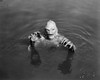 Sea Monster, 1953. /Nricou Browning In 'The Creature From The Black Lagoon,' 1953. Poster Print by Granger Collection - Item # VARGRC0069436