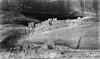 Canyon De Chelly, C1922. /Npueblo Cliff Dwellings At Canyon De Chelly, Arizona. Photographed C1922. Poster Print by Granger Collection - Item # VARGRC0108525