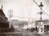 New Zealand, C1910. /Nthe Avenue Wanganui In New Zealand. Photograph, C1910. Poster Print by Granger Collection - Item # VARGRC0351722