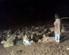Shepherds With Flock, C1919. /Nthree Palestinian Shepherds With Their Flock At Night. Hand-Colored Photograph, C1919. Poster Print by Granger Collection - Item # VARGRC0130797