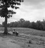 Sharecropper, 1939. /Nan African American Sharecropper Reading A Newspaper Under A Tree On A Hot Saturday Afternoon In Chatham County, North Carolina. Photograph By Dorothea Lange, July 1939. Poster Print by Granger Collection - Item # VARGRC0123714