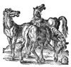 Horses. /Nwoodcut, 1584, By Jost Amman. Poster Print by Granger Collection - Item # VARGRC0035113