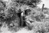 Storm Cellar, 1939. /Nthe Storm Cellar Of Agricultural Day Laborer Near Webbers Falls, Oklahoma. Photograph By Russell Lee, 1939. Poster Print by Granger Collection - Item # VARGRC0350520