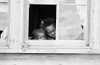 Sharecropper Family, 1935. /Nan African American Sharecropper'S Wife And Child Peak Out A Broken Window, Little Rock, Arkansas. Photograph By Ben Shahn In October 1935. Poster Print by Granger Collection - Item # VARGRC0120103