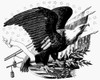Eagle, 19Th Century. /Namerican Typefounder'S Cut, 19Th Century. Poster Print by Granger Collection - Item # VARGRC0077137