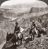 Grand Canyon: Sightseers. /Na Man And A Woman Riding Mules Along The Edge Of A Precipice On The Grand View Trail In The Grand Canyon In Arizona. Stereograph, C1906. Poster Print by Granger Collection - Item # VARGRC0260406