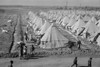 Arkansas: Refugee Camp. /Nview Of The Camp For Flood Refugees In Forrest City, Arkansas. Photograph By Edwin Locke Or Walker Evans, March 1937. Poster Print by Granger Collection - Item # VARGRC0325262