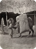 Samarkand: Transport, C1870. /Na Camel Transporting Large Bundles In The Zaravshan District Of Samarkand. Photograph, C1870. Poster Print by Granger Collection - Item # VARGRC0114106