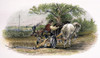 American Farm Scene. /Nsteel Engraving, C1870. Poster Print by Granger Collection - Item # VARGRC0042965