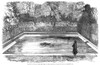 Hippopotamus: London Zoo. /Nobayseh, The Egyptian Hippopotamus In The Regent'S Park Zoo, London. Wood Engraving From An English Newspaper Of 1851. Poster Print by Granger Collection - Item # VARGRC0043541