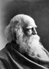 William Cullen Bryant /N(1794-1878). American Poet And Editor. Original Cabinet Photograph, 1873, By Napoleon Sarony. Poster Print by Granger Collection - Item # VARGRC0050211
