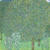 Klimt: Rosebushes, C1905. /N'Rosebushes Under The Trees.' Oil On Canvas, Gustav Klimt, C1905. Poster Print by Granger Collection - Item # VARGRC0433747