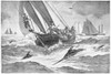Fishing: Swordfish, 1893. /N'Sword-Fishing Off Nantucket.' Lithograph, American, 1893. Poster Print by Granger Collection - Item # VARGRC0264936