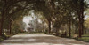 Georgia: Savannah, C1901. /Nforsyth Park In Savannah, Georgia. Photochrome, C1901. Poster Print by Granger Collection - Item # VARGRC0186387
