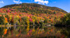 Autumn trees reflection in pond, Sugarloaf Pond, Potton, Quebec, Canada Poster Print by Panoramic Images - Item # VARPPI173906