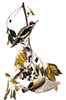 Audubon: Sapsucker. /Nyellow-Bellied Sapsucker (Sphyriacus Varius), After John James Audubon For His 'Birds Of America,' 1827-38. Poster Print by Granger Collection - Item # VARGRC0007577