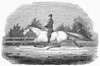 Horse Racing, 1851. /Nthe Celebrated Racehorse, Lady Suffolk. Wood Engraving, English, 1851. Poster Print by Granger Collection - Item # VARGRC0097832